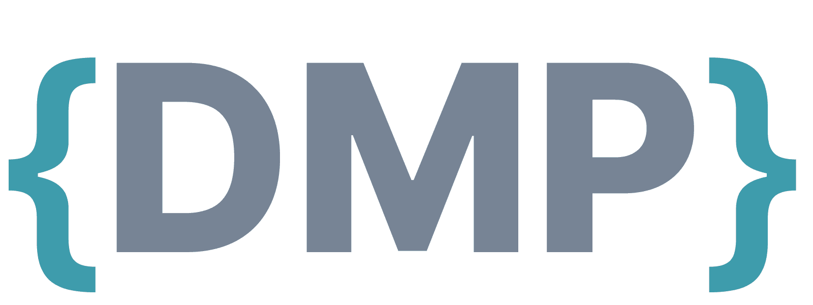 DMP Bridge image